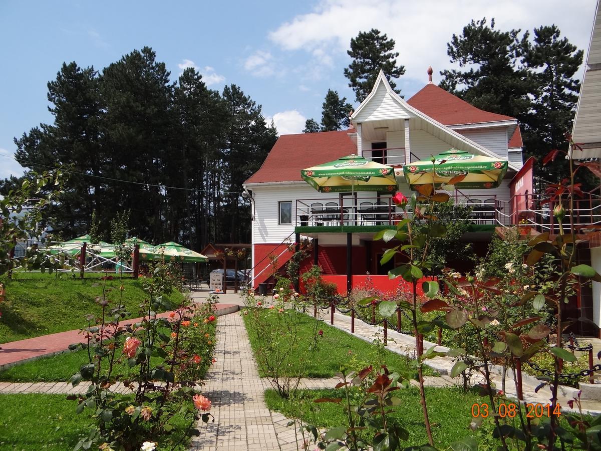Cabana Pensiune La Brazi Vulcan (Hunedoara) Exterior foto