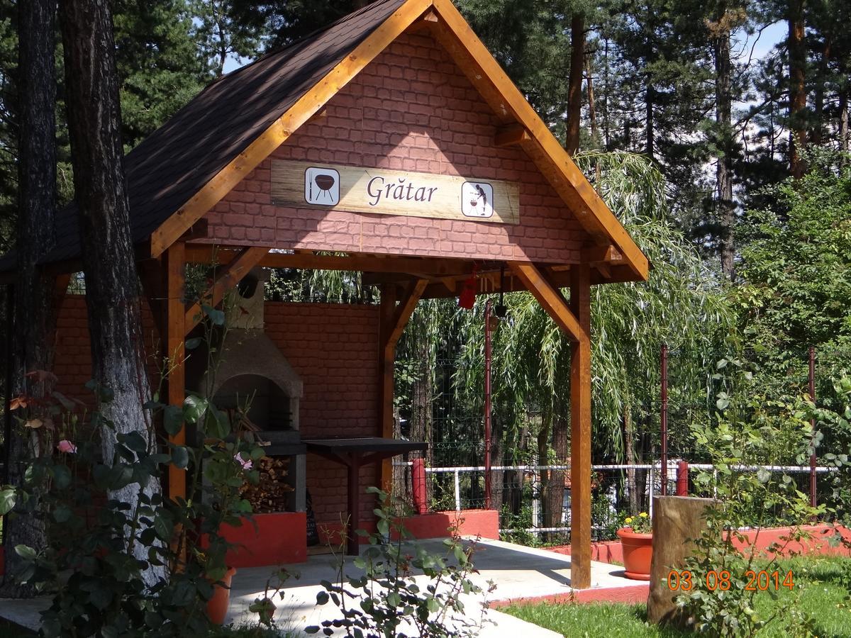 Cabana Pensiune La Brazi Vulcan (Hunedoara) Exterior foto